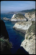 144067 Pt. Lobos State Park A4 Photo Print