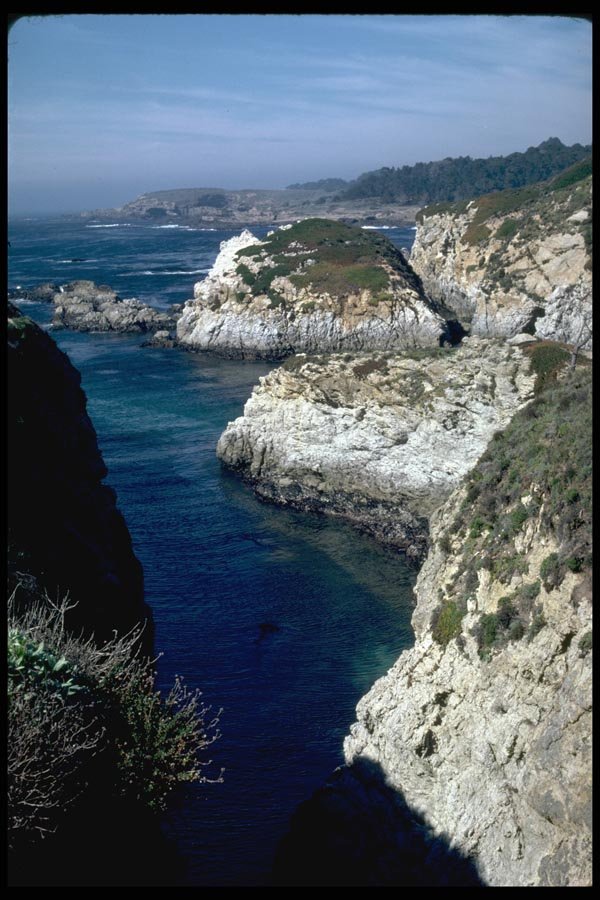 144067 Pt. Lobos State Park A4 Photo Print
