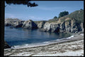 144068 Pt. Lobos State Park A4 Photo Print