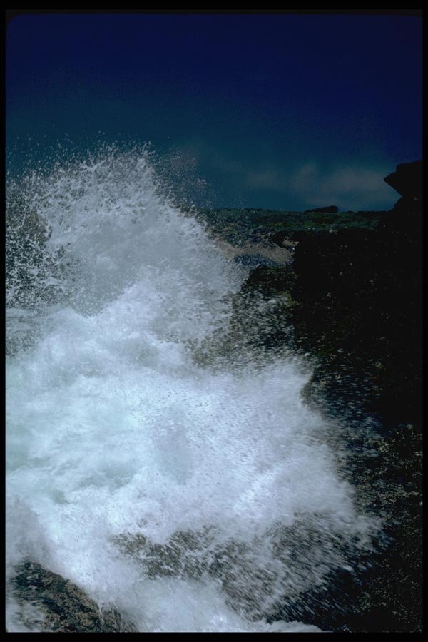 144070 Pt. Lobos State Park Breaking Wave A4 Photo Print