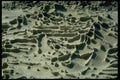 144073 Pt. Lobos State Park Sculptured Rock A4 Photo Print