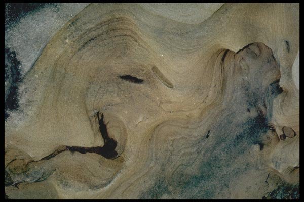 144074 Pt. Lobos State Park Sculptured Rock A4 Photo Print