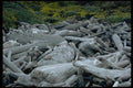 144075 Andrew Molera State Park A4 Photo Print