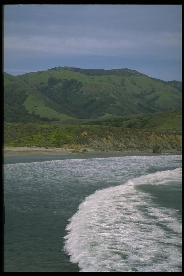 144076 Andrew Molera State Park A4 Photo Print