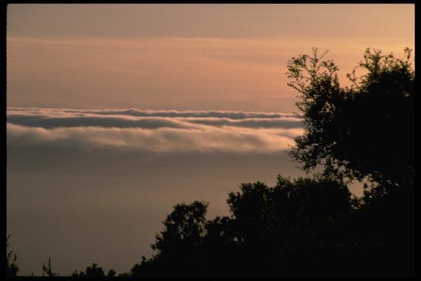 144081 Big Sur Coast Coastal Fog A4 Photo Print