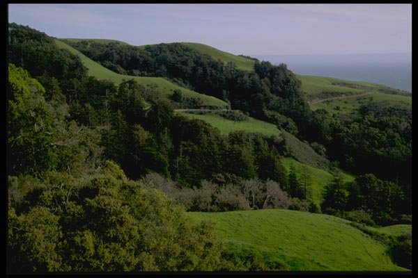 144082 Big Sur Coast Springtime A4 Photo Print