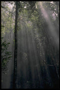 144085 Big Sur Coast Sun Beams A4 Photo Print