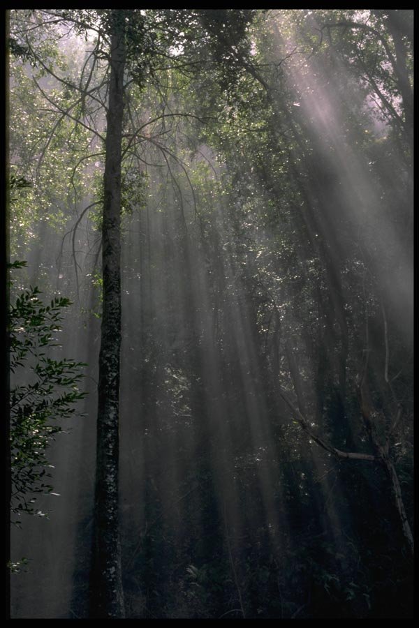 144085 Big Sur Coast Sun Beams A4 Photo Print