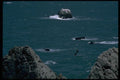 144097 Ship Wreckage At Lands End, San Francisco A4 Photo Print