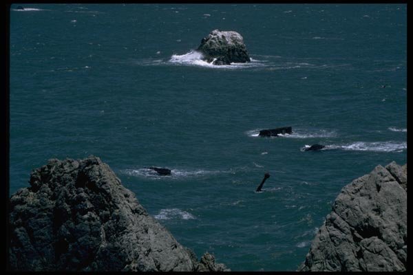 144097 Ship Wreckage At Lands End, San Francisco A4 Photo Print