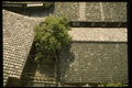 145019 Tiled Rooftops Are The Hallmark Of Traditional Architecture A4 Photo Print