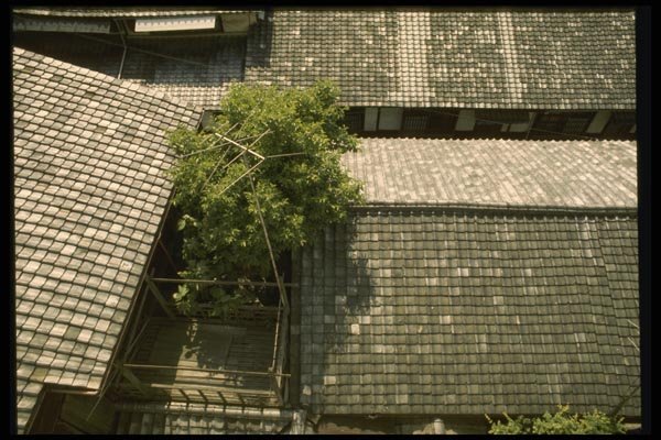 145019 Tiled Rooftops Are The Hallmark Of Traditional Architecture A4 Photo Print