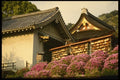 145040 Kyoto's Lucky Temple  A4 Photo Print