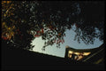 145045 Tranquil Temple Roof And Maple Foliage A4 Photo Print