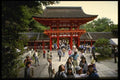 145049 Vermillion Colored Kamigamo Shrine A4 Photo Print