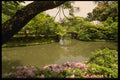 145073 Katsura Rikyu Imperial Garden A4 Photo Print