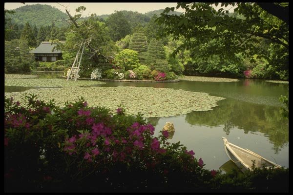 145079 Pond Of The Ryoanji Zen Buddhist Temple A4 Photo Print