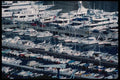 146011 Millions Of Dollars Lie Afloat Here A4 Photo Print