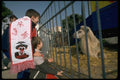 146091 Once A Year, It's Circus Time A Preview For Young Fans A4 Photo Print