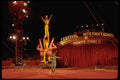 146097 The Best Acts From Around The World Do Their Thing A4 Photo Print