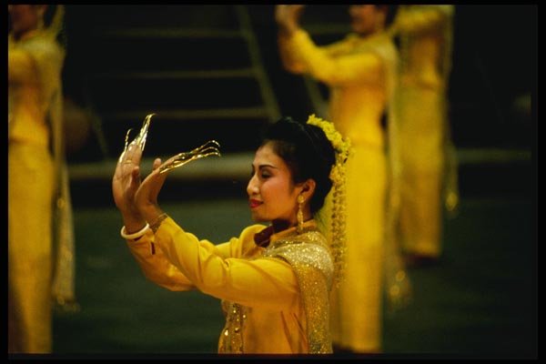 147049 Rose Garden Dancer A4 Photo Print