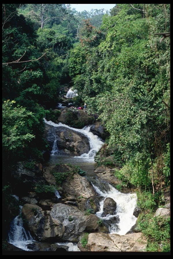 147061 Chiang Mai Mae Sa Falls A4 Photo Print