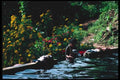 147064 Chiang Mai Meo Tribe Village A4 Photo Print