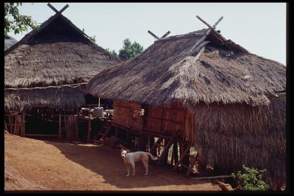 147081 Chiang Rai Akha Hill Tribe Village A4 Photo Print