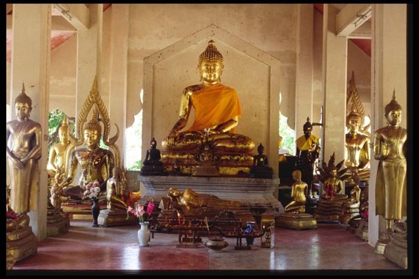 147084 Near Chiang Rai Doi Thong A4 Photo Print