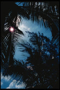 147095 Phuket Palm Trees A4 Photo Print