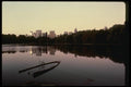 148016 Lake And Reflection, Central Park A4 Photo Print