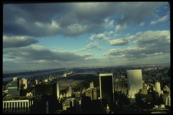 148020 Central Park Looking North A4 Photo Print