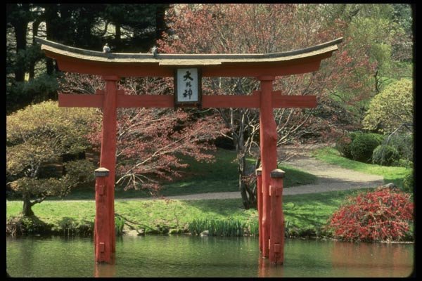 148027 Japanese Garden, Brooklyn Botanical Gardens A4 Photo Print