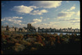 148048 Central Park And Reservoir, In Autumn A4 Photo Print