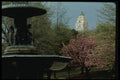 148050 Bethesda Fountain, Central Park A4 Photo Print