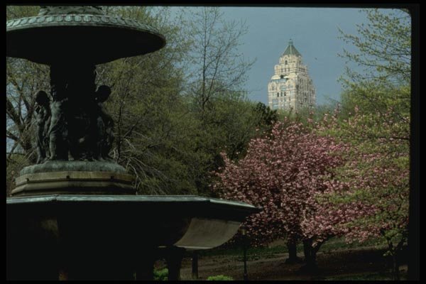 148050 Bethesda Fountain, Central Park A4 Photo Print