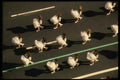 148054 Participants From Above, St. Patrick's Day Parade A4 Photo Print