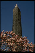 148065 Cleopatra's Needle (Obelisk), Central Park A4 Photo Print