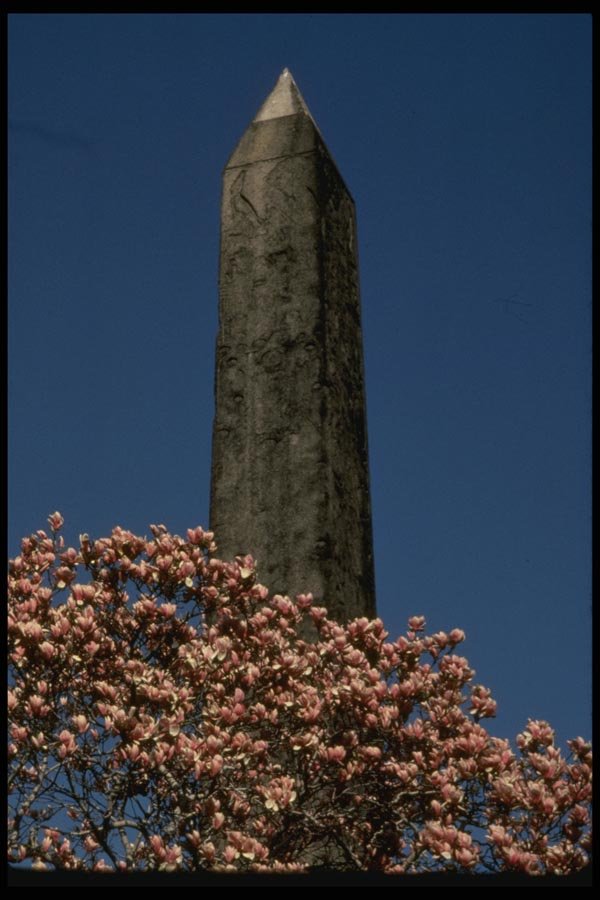 148065 Cleopatra's Needle (Obelisk), Central Park A4 Photo Print