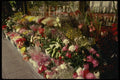 148074 Flower Shop Display A4 Photo Print