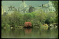 148091 Central Park In The Spring A4 Photo Print