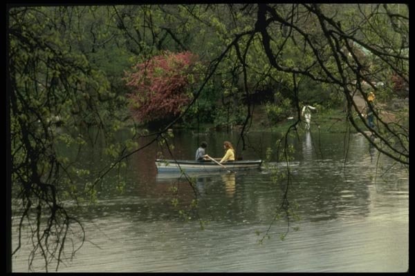 148093 Couple Rowing, Central Park A4 Photo Print