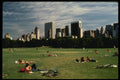 148094 Great Meadow, Central Park A4 Photo Print