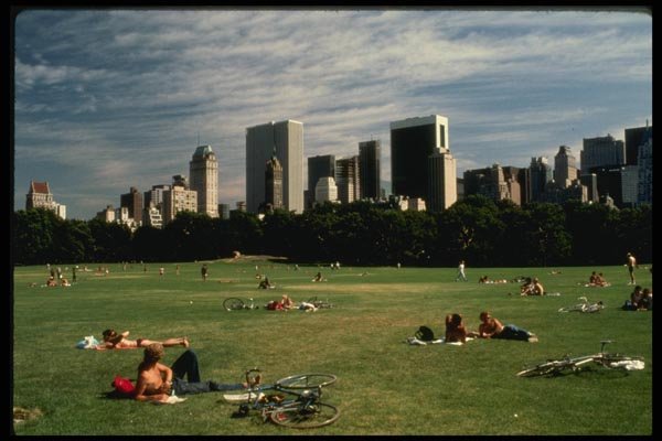 148094 Great Meadow, Central Park A4 Photo Print