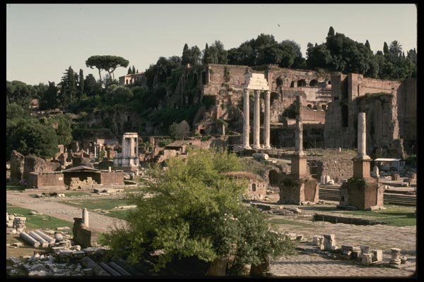 149010 Roman Forum With Palentine Hill A4 Photo Print