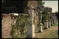 149012 Statues Of The Vestal Virgins, Roman Forum A4 Photo Print