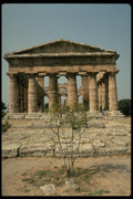 149085 Second Hera Temple And Surrounding Landscape, Paestum A4 Photo Print