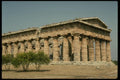 149086 Green Bushes With Second Temple, Paestum A4 Photo Print