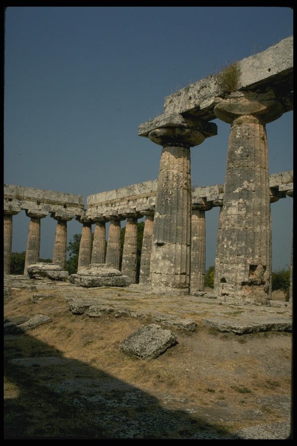 149089 Pre Doric Columns, Paestum A4 Photo Print