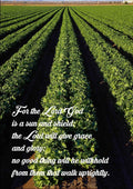 I will delight myself in thy statutes I will not forget thy word A4 photo print 
